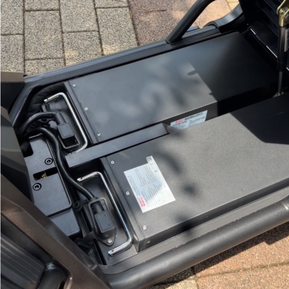 ELEMOs エレグランG-class MAX 免許不要・特定小型EV4輪 - 画像 (7)