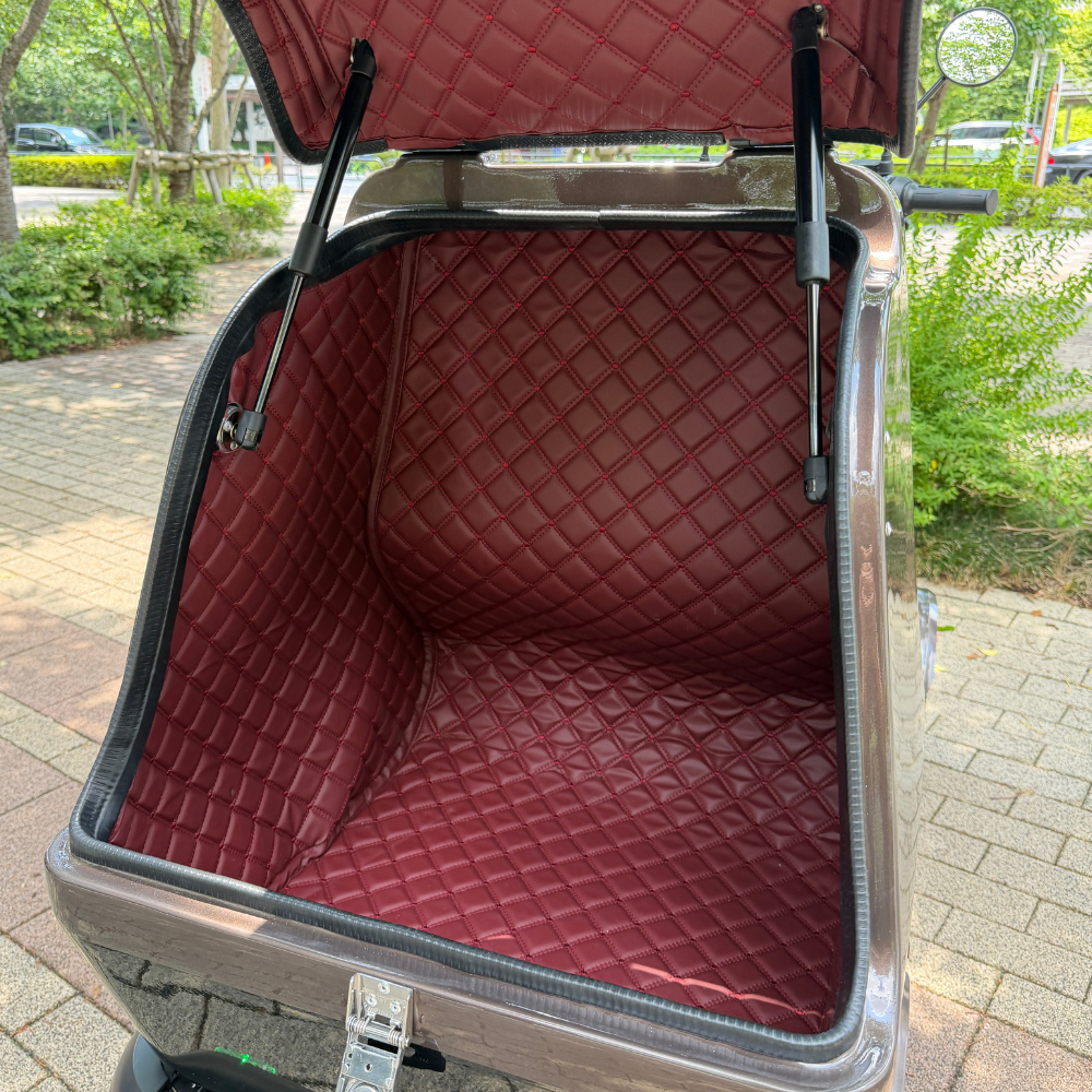 ELEMOs エレグランG-class MAX 免許不要・特定小型EV4輪 - 画像 (6)